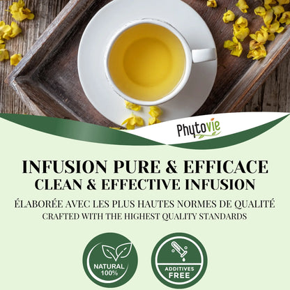 Infusion de molène Phytovie servie dans une tasse blanche, mettant en valeur une tisane naturelle, sans additifs, élaborée selon les plus hautes normes de qualité.