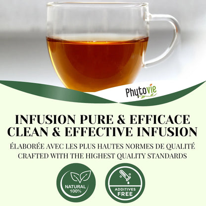 Tasse de tisane Élimination illustrant une infusion purifiante, légère et équilibrante pour le bien-être digestif