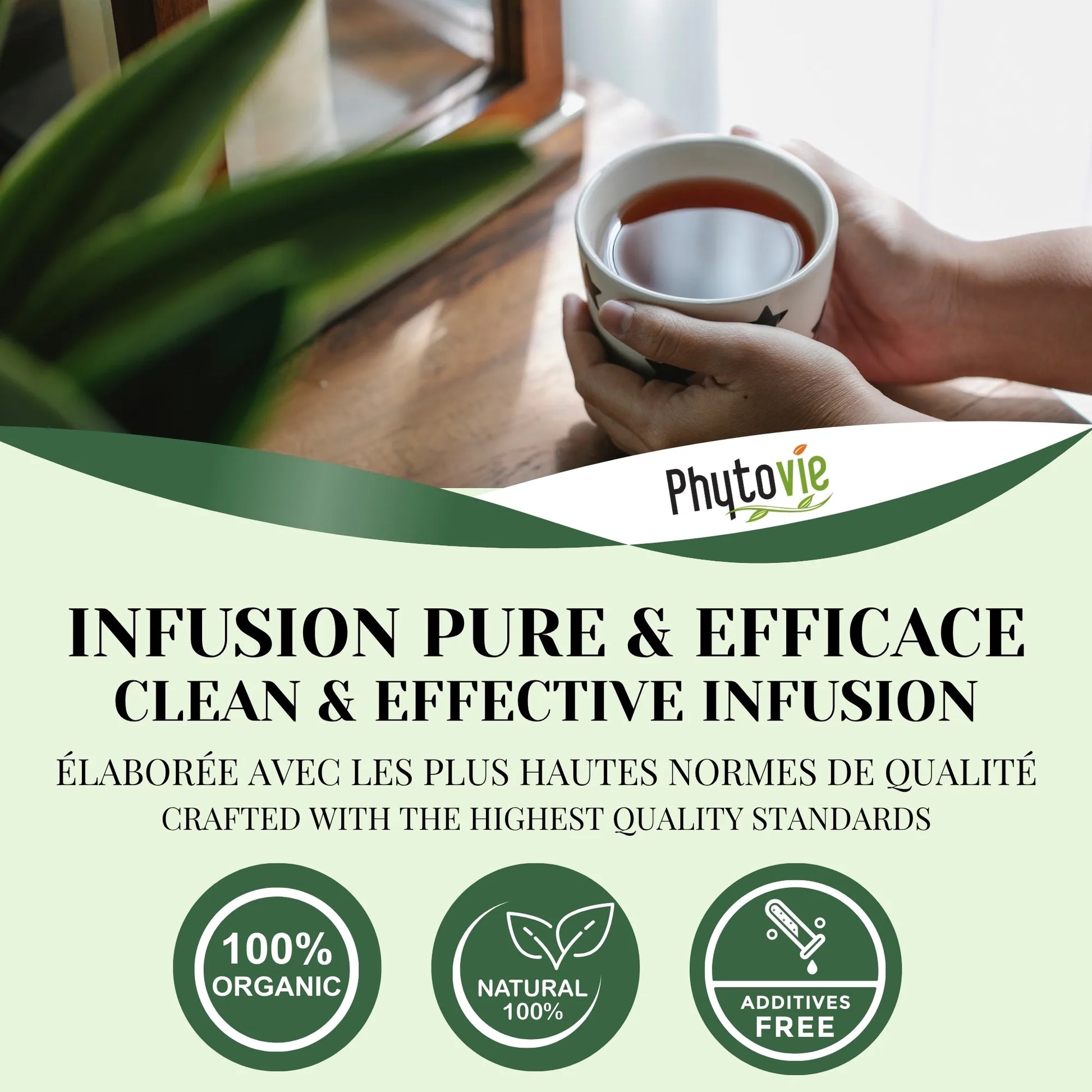 Tasse de tisane de séné accompagnée de feuilles naturelles, illustrant une infusion chaude et ciblée pour le confort digestif occasionnel
