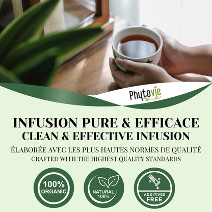 Tasse de tisane de séné accompagnée de feuilles naturelles, illustrant une infusion chaude et ciblée pour le confort digestif occasionnel
