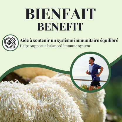 Hydne hérisson | Système immunitaire | 60 capsules
