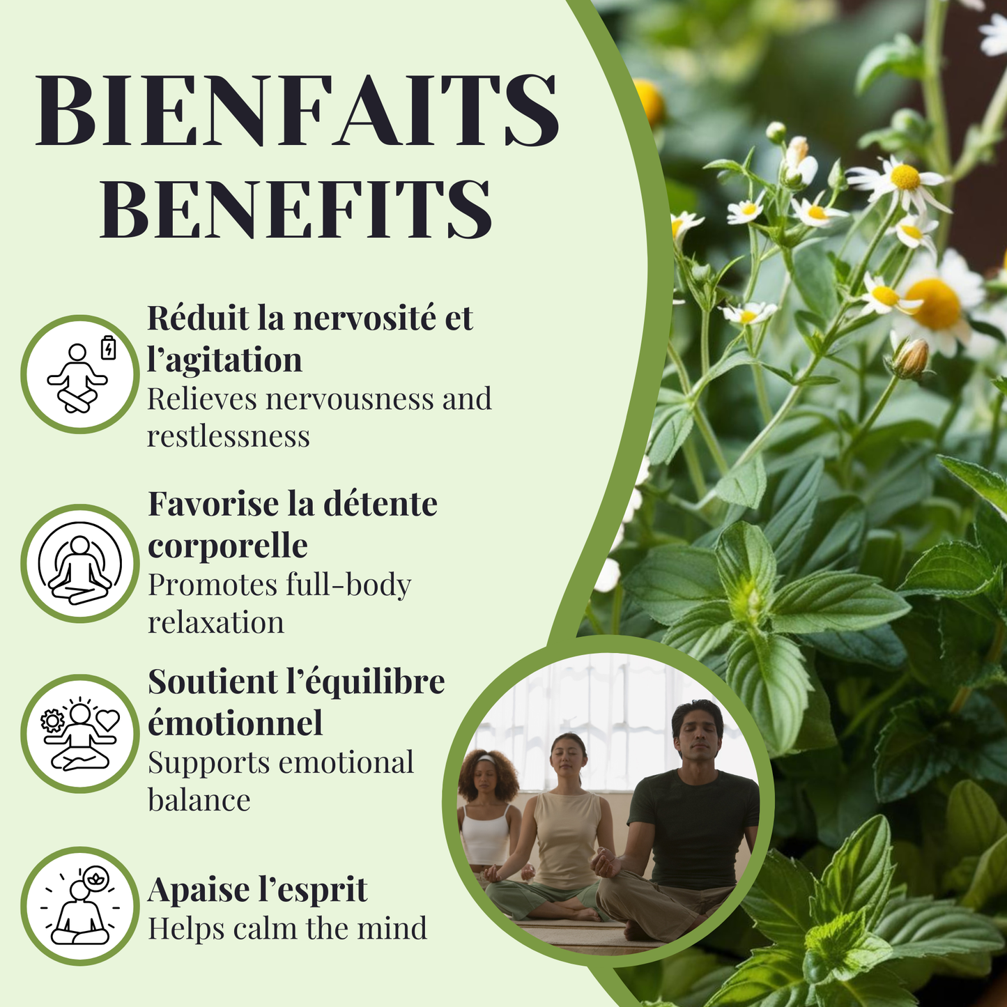 Organic Meditation | Mental Relaxation | 50 Sachets