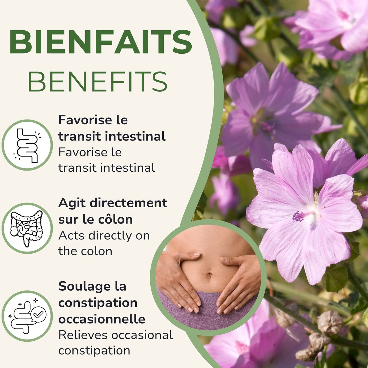 Bienfaits du Malva+ Phytovie : favorise le transit intestinal, agit sur le côlon, soulage la constipation occasionnelle