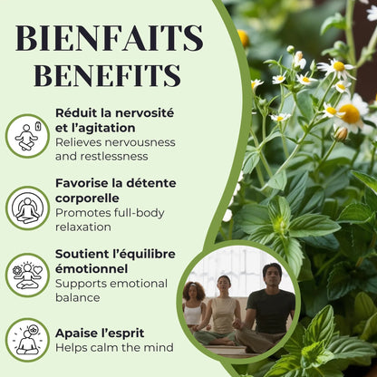 Bienfaits de la tisane Méditation utilisée pour aider à apaiser l’agitation mentale, soutenir la relaxation et favoriser un état de calme