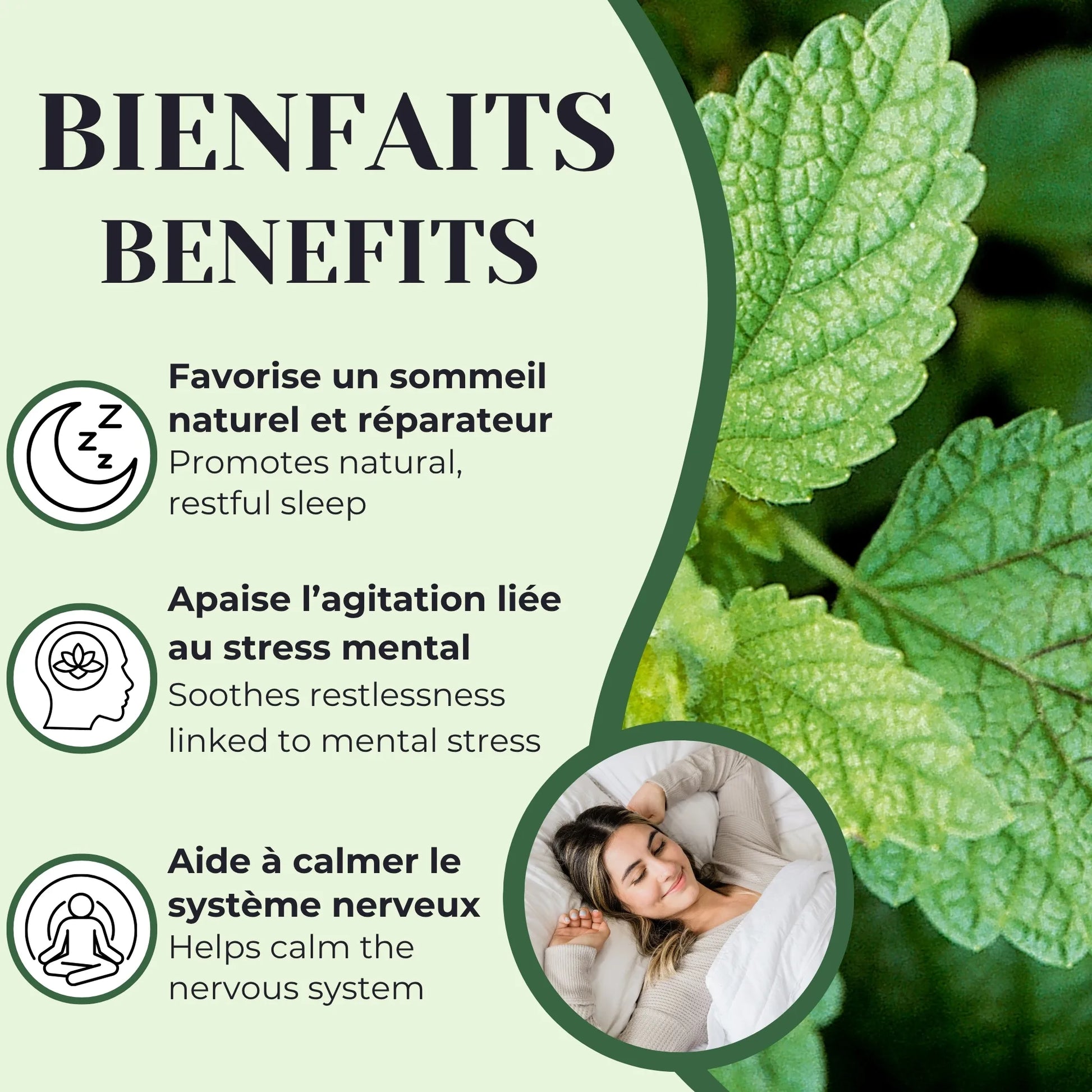 Bienfaits de la tisane de mélisse utilisée traditionnellement pour aider à soulager l’agitation, la nervosité et favoriser le sommeil
