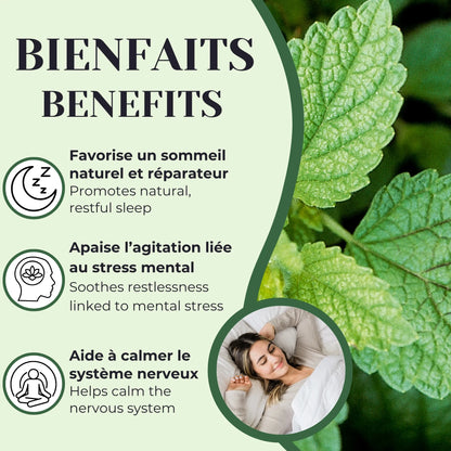 Bienfaits de la tisane de mélisse utilisée traditionnellement pour aider à soulager l’agitation, la nervosité et favoriser le sommeil