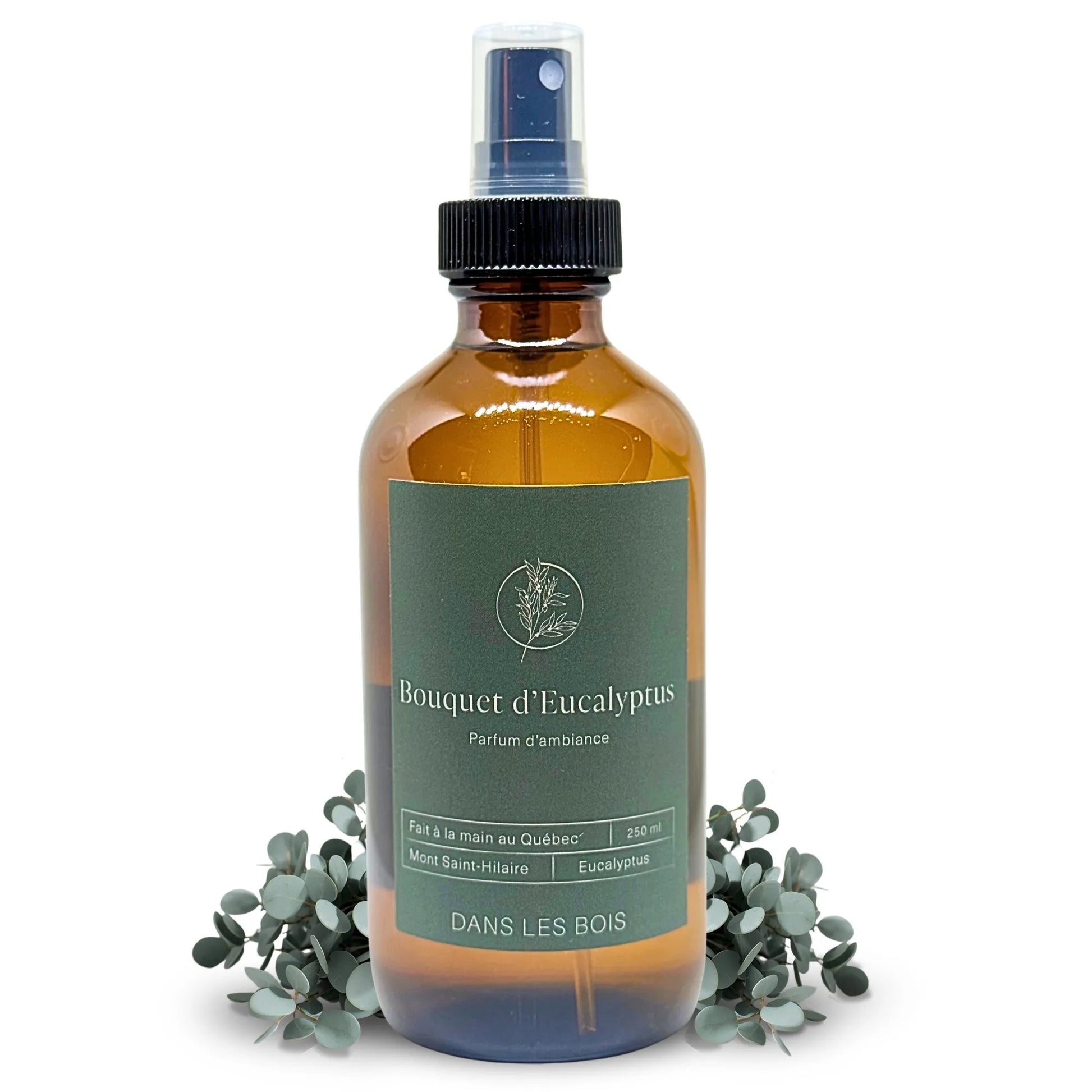 Parfum d’ambiance Bouquet d’Eucalyptus avec branches d’eucalyptus et feuilles sur fond blanc, parfum frais et apaisant