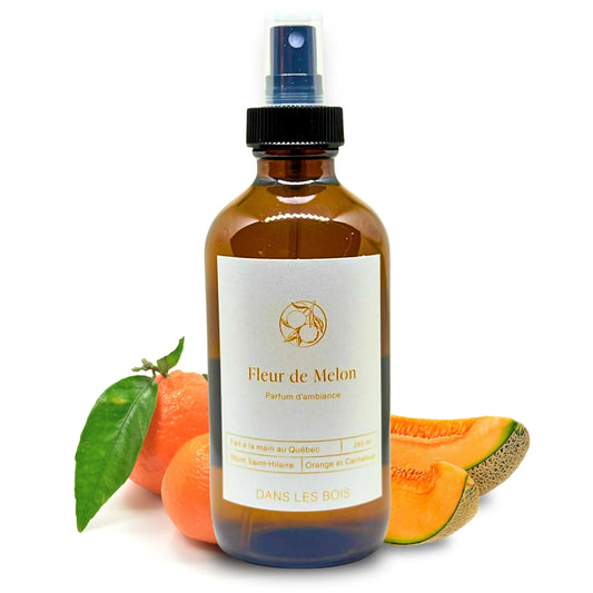 Parfum d’ambiance Fleur de Melon 250 ml avec morceaux de melon et clémentine sur fond blanc, parfum doux, fruité et lumineux