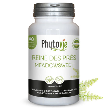 Capsules de Reine des prés Phytovie, supplément naturel utilisé pour aider à soulager les brûlures d’estomac et l’hyperacidité