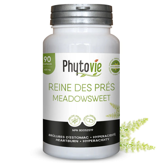 Capsules de Reine des prés Phytovie, supplément naturel utilisé pour aider à soulager les brûlures d’estomac et l’hyperacidité