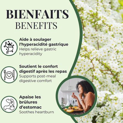 Bienfaits de la Reine des prés Phytovie, aide à soulager l’hyperacidité gastrique, apaise les brûlures d’estomac et soutient le confort digestif