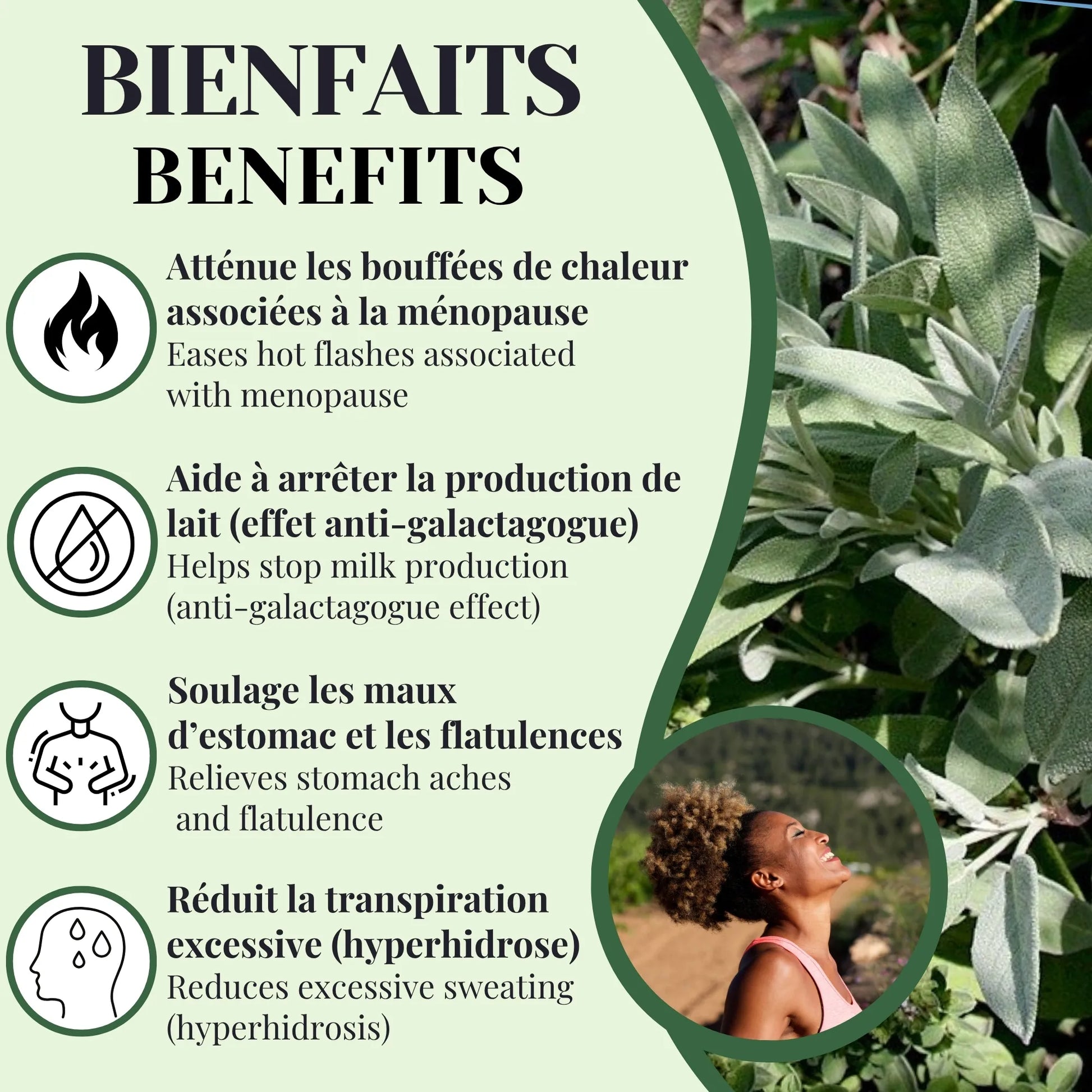 Bienfaits de la tisane de sauge aidant à soulager les inconforts digestifs, réduire la transpiration excessive et atténuer les bouffées de chaleur
