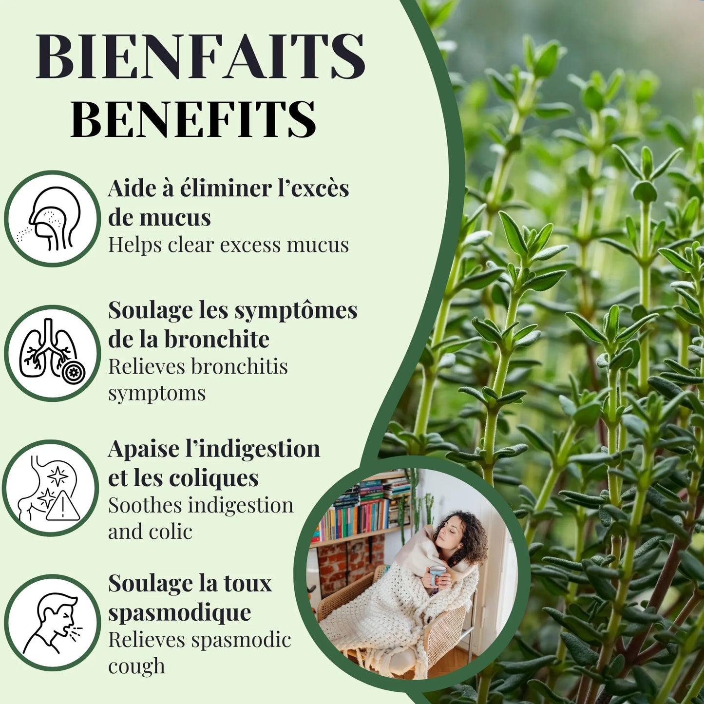 Bienfaits de la tisane de thym aidant à soulager la toux, libérer les voies respiratoires et améliorer la digestion naturellement