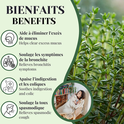 Bienfaits de la tisane de thym aidant à soulager la toux, libérer les voies respiratoires et améliorer la digestion naturellement
