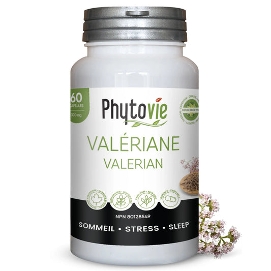 Capsules de Valériane Phytovie 60 capsules, supplément naturel utilisé pour favoriser le sommeil et aider à réduire le stress