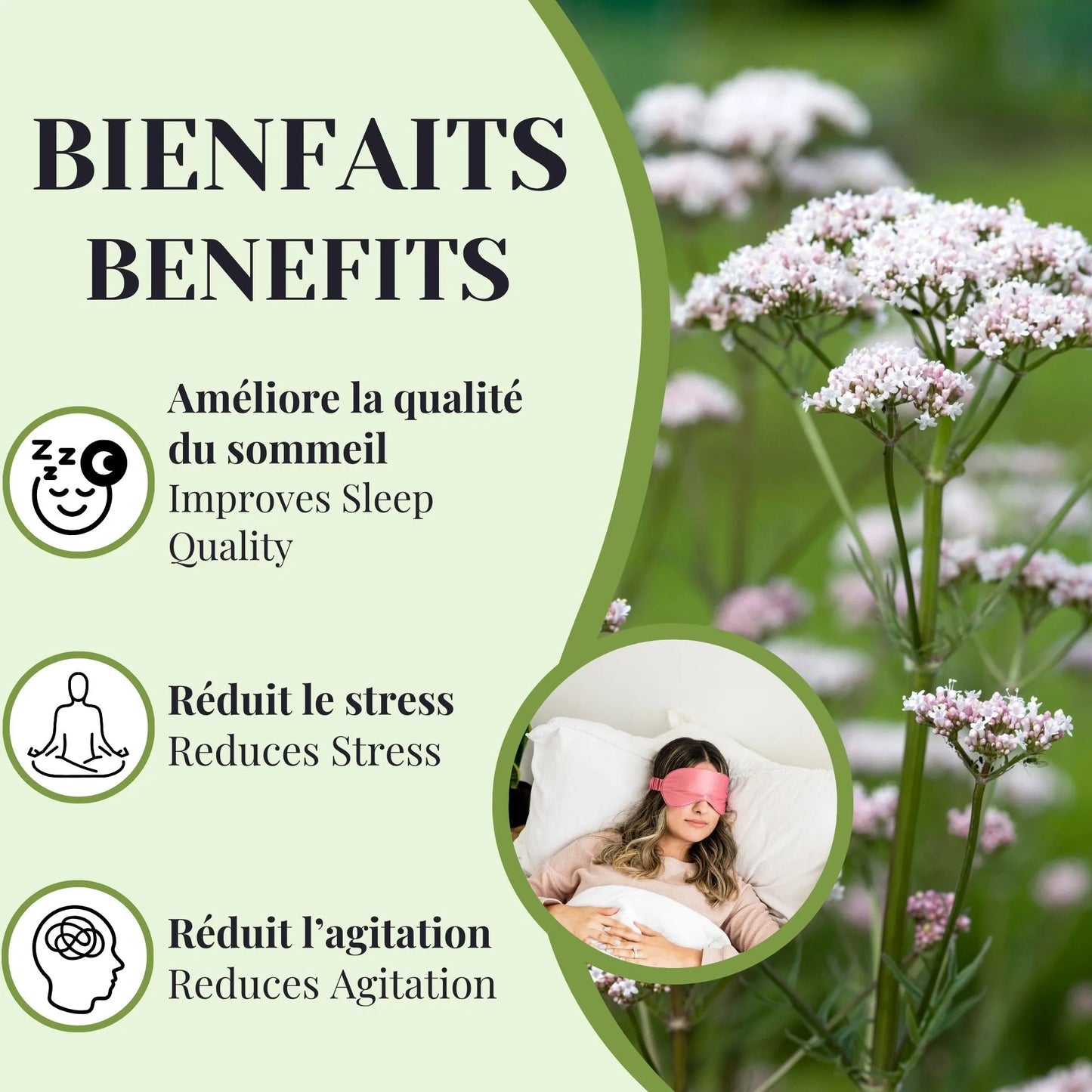 Bienfaits de la tisane de valériane aidant à réduire le stress, calmer l’agitation nerveuse et améliorer naturellement la qualité du sommeil