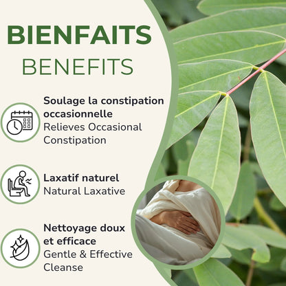Bienfaits du Séné BIO : soulage la constipation occasionnelle, laxatif naturel, nettoyage doux et efficace