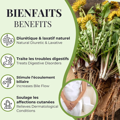 Bienfaits du pissenlit Phytovie, diurétique et laxatif naturel, aide à soulager les troubles digestifs, stimule l’écoulement biliaire et soutient la santé de la peau