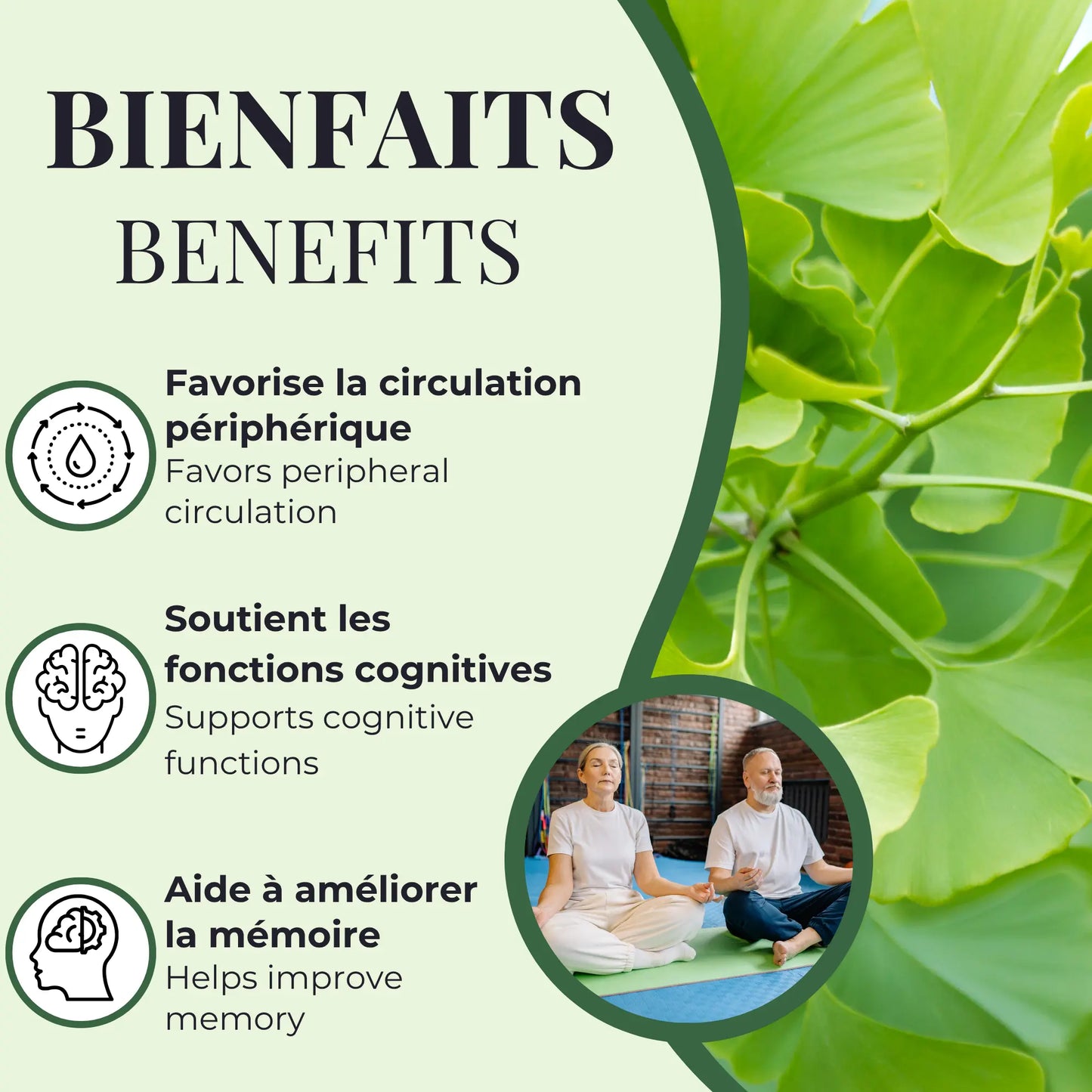 Bienfaits du ginkgo biloba Phytovie, favorise la circulation périphérique, soutient les fonctions cognitives et aide à améliorer la mémoire