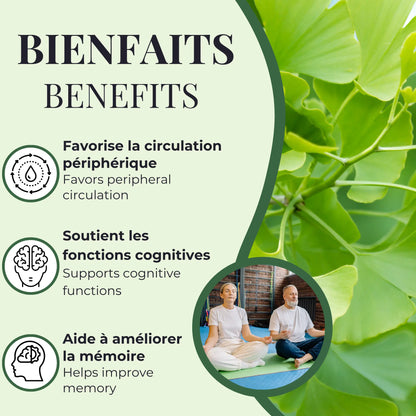 Bienfaits du ginkgo biloba Phytovie, favorise la circulation périphérique, soutient les fonctions cognitives et aide à améliorer la mémoire