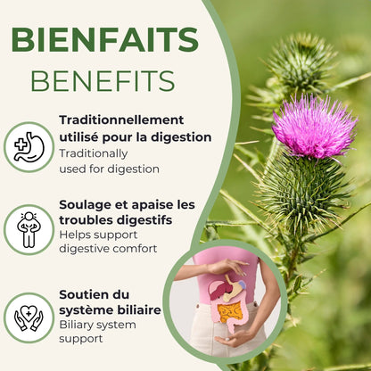 Bienfaits du Chardon-Marie : soutient la digestion, soulage les troubles digestifs, soutient le système biliaire