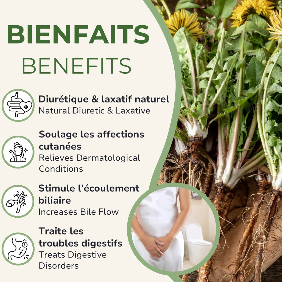 Racines de pissenlit; 4 bienfaits avec icônes: diurétique/laxatif, peau, bile, digestion