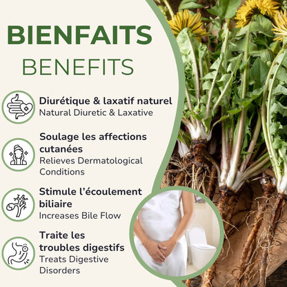 Racines de pissenlit; 4 bienfaits avec icônes: diurétique/laxatif, peau, bile, digestion