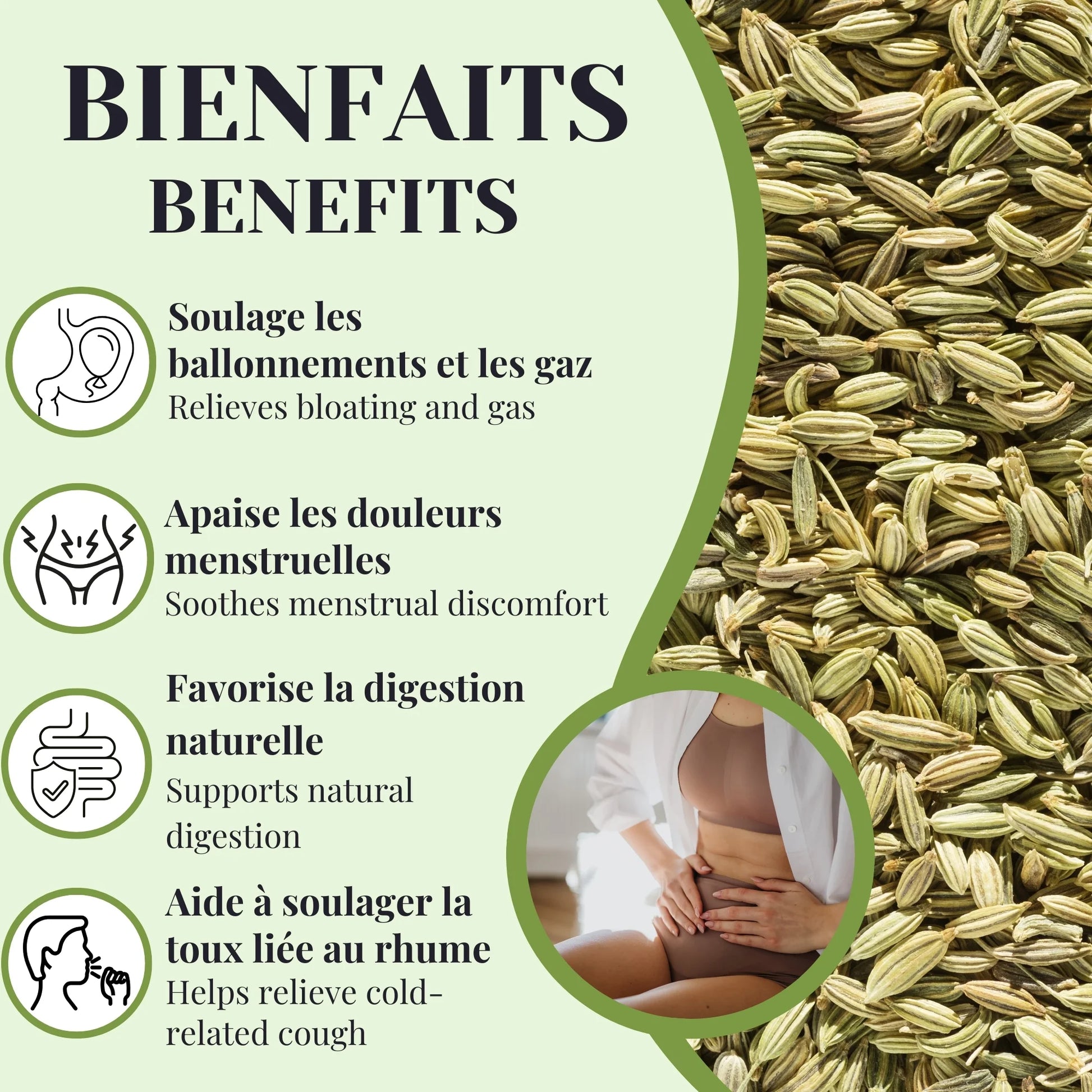 Bienfaits de la tisane de fenouil doux favorisant la digestion, réduisant les ballonnements et soutenant le confort respiratoire naturellement