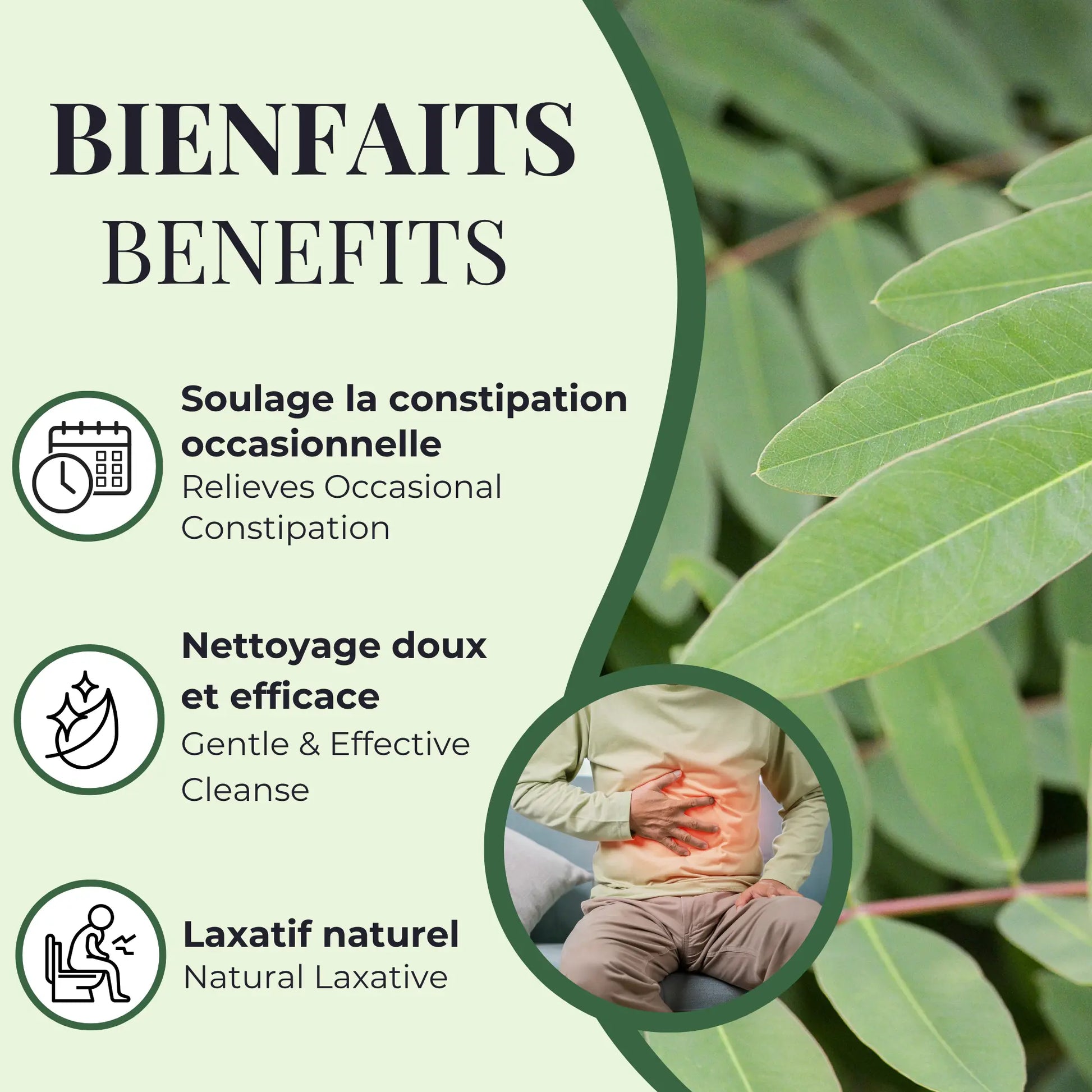 Bienfaits du séné Phytovie, aide à soulager la constipation occasionnelle, favorise un nettoyage intestinal doux et agit comme laxatif naturel


