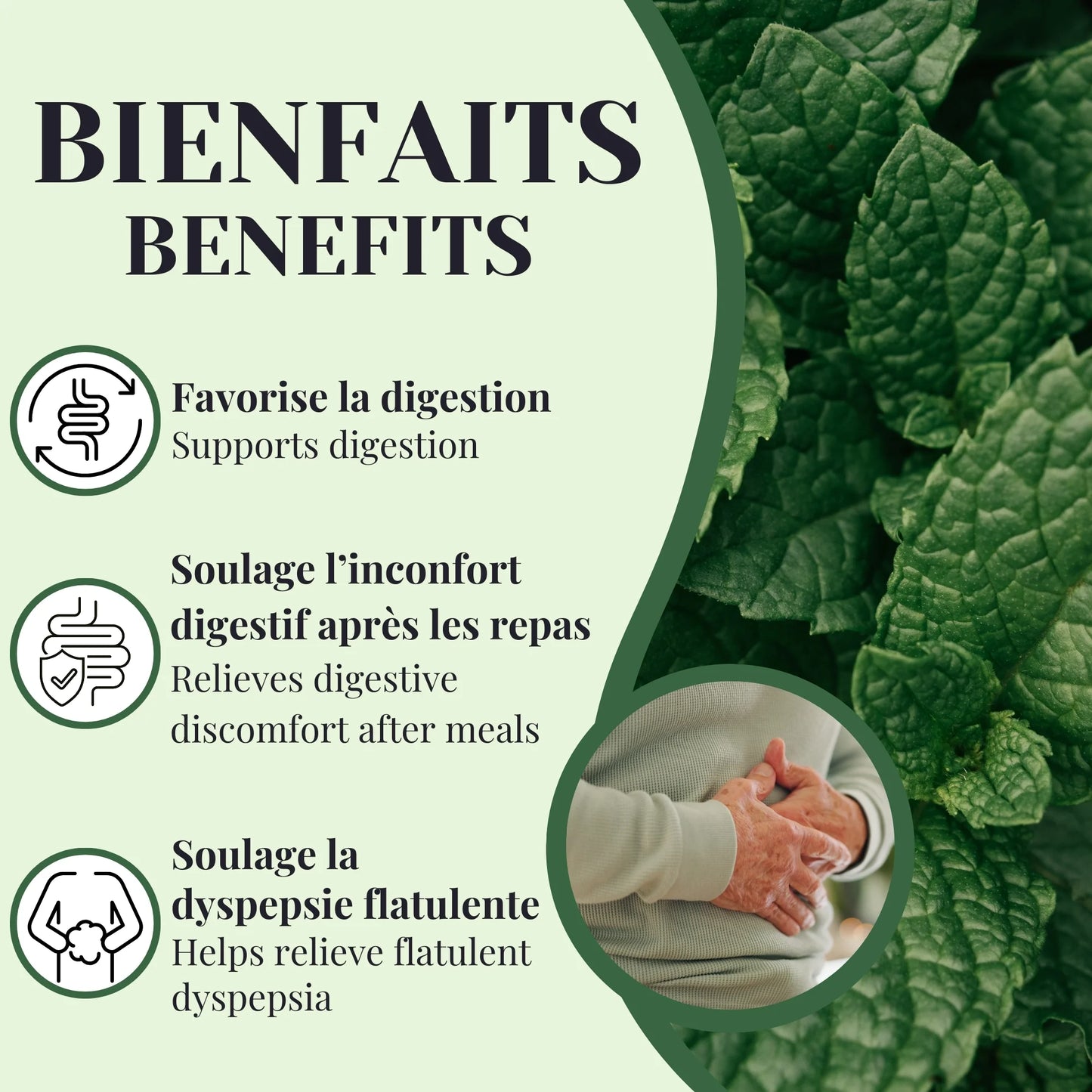 Bienfaits de la tisane de menthe poivrée favorisant la digestion, réduisant les ballonnements et apportant une sensation de légèreté et de confort digestif