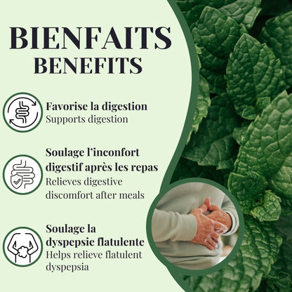 Bienfaits de la tisane de menthe poivrée favorisant la digestion, réduisant les ballonnements et apportant une sensation de légèreté et de confort digestif