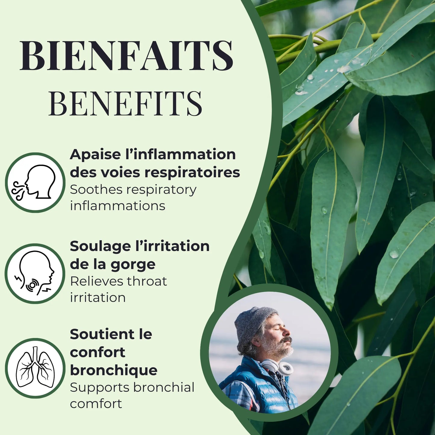 Bienfaits de l’eucalyptus Phytovie, aide à apaiser l’inflammation des voies respiratoires, soulage l’irritation de la gorge et soutient le confort bronchique