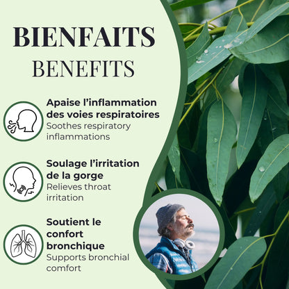 Bienfaits de l’eucalyptus Phytovie, aide à apaiser l’inflammation des voies respiratoires, soulage l’irritation de la gorge et soutient le confort bronchique