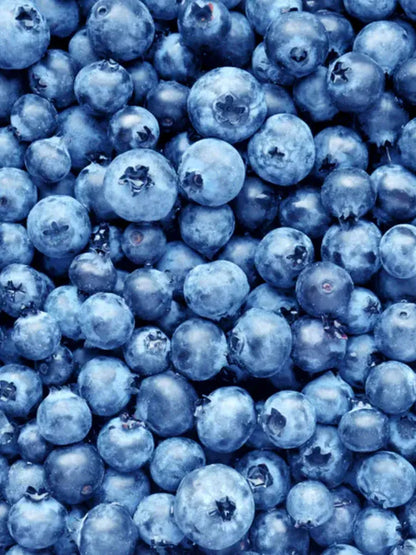 Confiture de bleuets sauvage | 190 ml