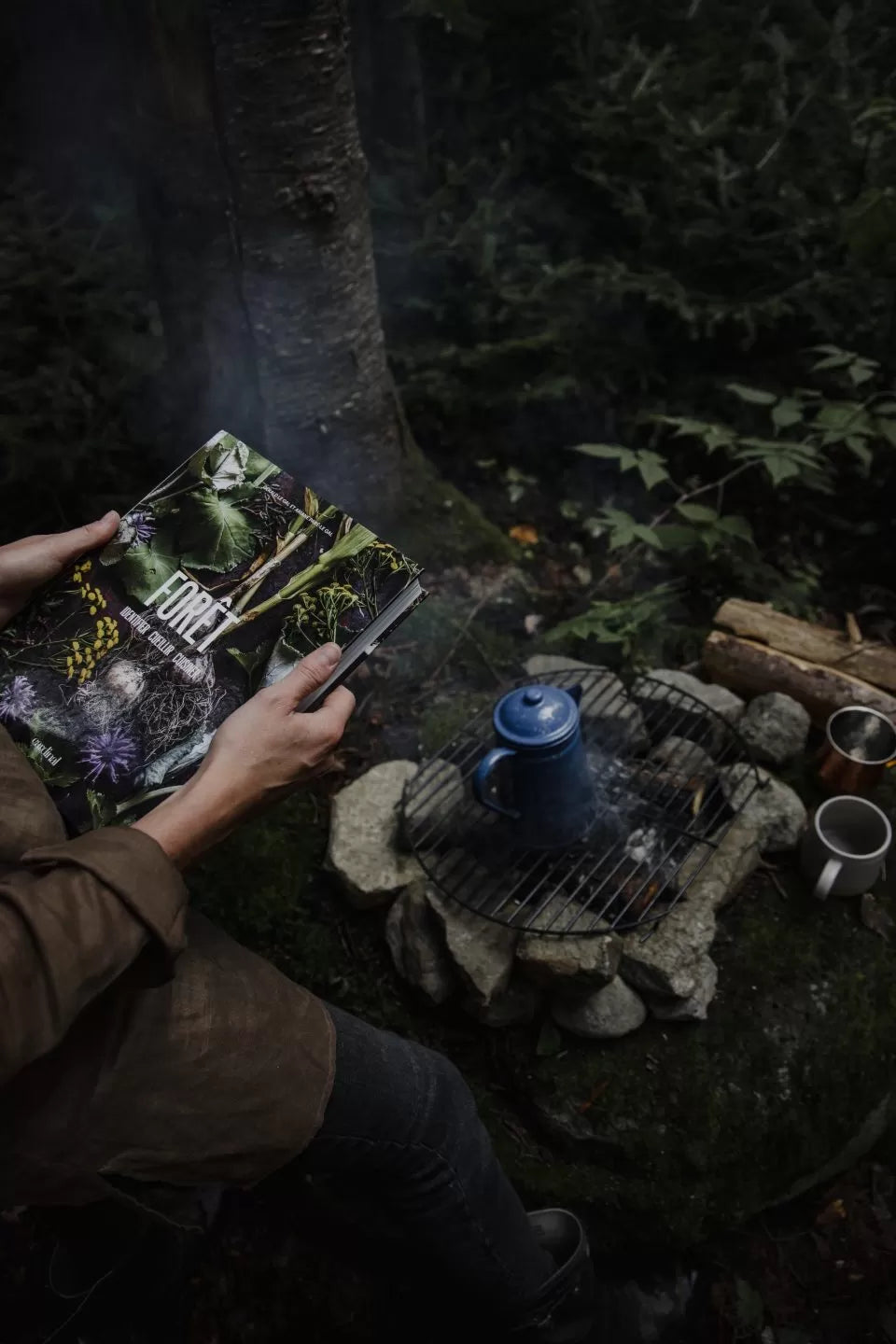 Forest Book Identify-pick-cook