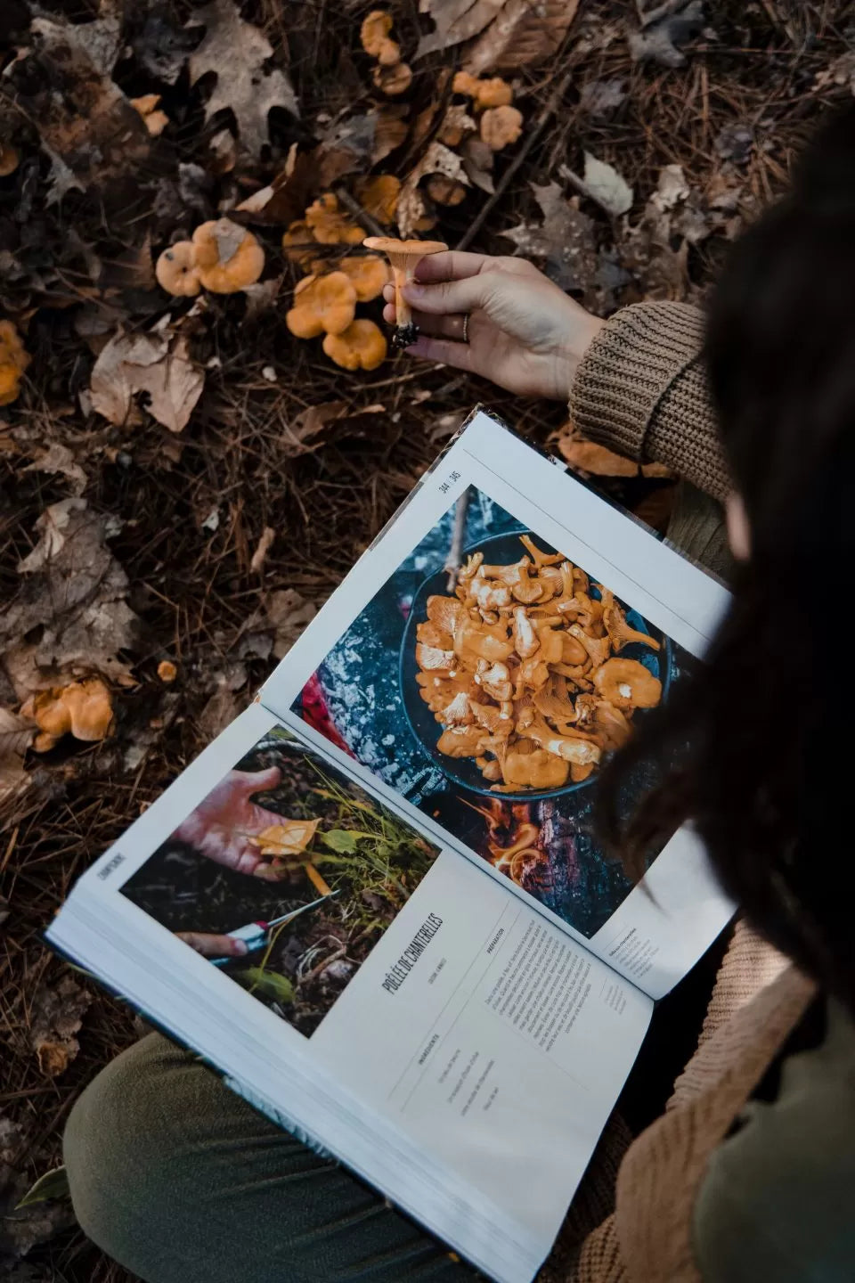 Forest Book Identify-pick-cook