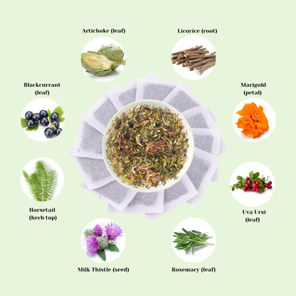 Ingrédients de la tisane Détox foie incluant busserole, calendula, artichaut, prêle, réglisse, cassis, romarin et chardon-marie pour soutenir le foie et la digestion