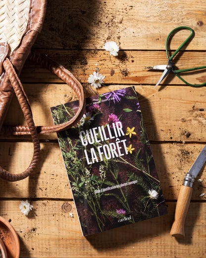 Cueillir la forêt