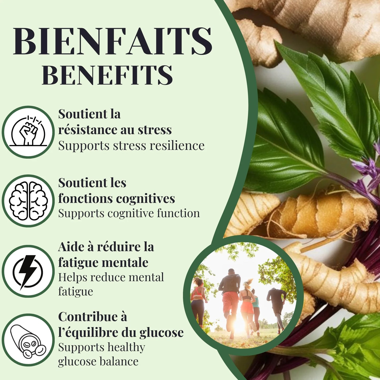 Bienfaits de la tisane Énergie Phytovie soutenant l’énergie naturelle, la clarté d’esprit, la résistance au stress et l’équilibre du taux de glucose