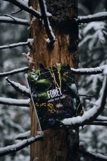 Forest Book Identify-pick-cook