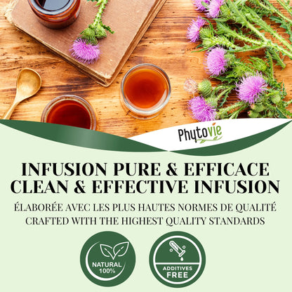 Tasse de tisane de chardon-marie avec plante naturelle illustrant une infusion pure, protectrice et détoxifiante, idéale pour le bien-être du foie.