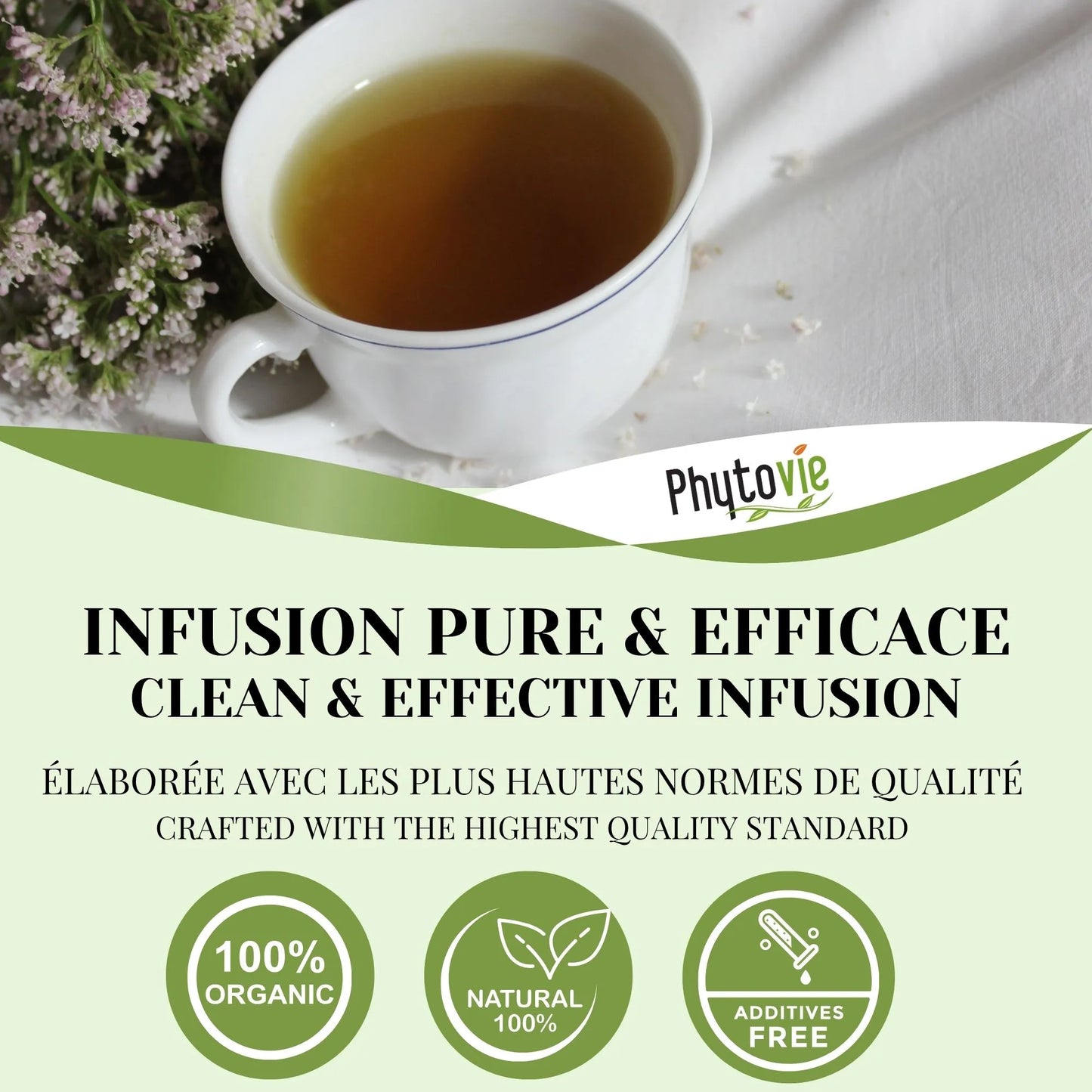 Tasse de tisane de valériane avec plante naturelle illustrant une infusion apaisante, relaxante et idéale pour favoriser un sommeil réparateur