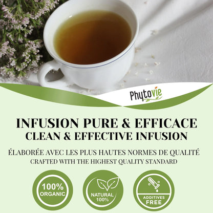 Tasse de tisane de valériane avec plante naturelle illustrant une infusion apaisante, relaxante et idéale pour favoriser un sommeil réparateur