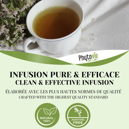 Tasse de tisane de valériane avec plante naturelle illustrant une infusion apaisante, relaxante et idéale pour favoriser un sommeil réparateur