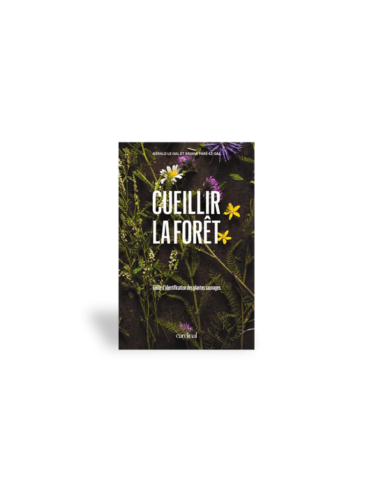 Cueillir la forêt