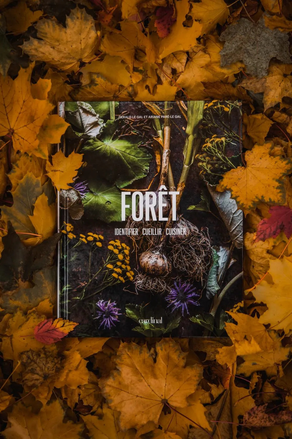 Forest Book Identify-pick-cook
