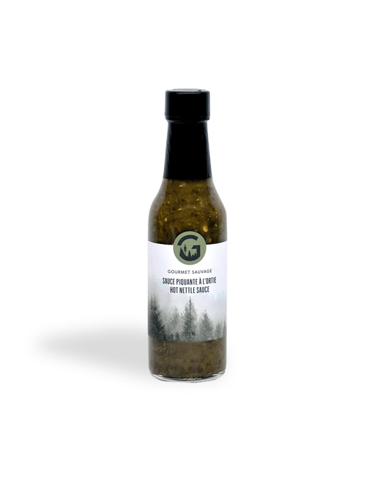 Sauce piquante à l’ortie et au sapin | 150 ml