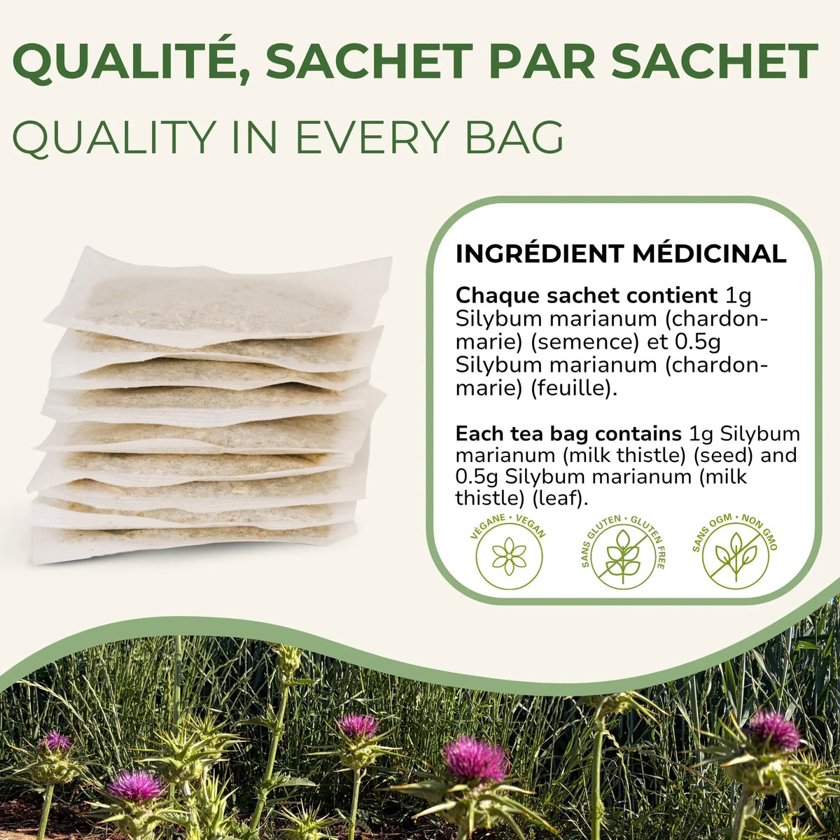 Sachets de tisane Chardon-Marie Phytovie empilés, ingrédient médicinal Silybum marianum biologique