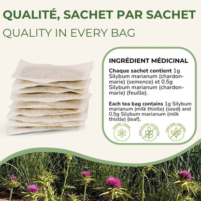 Sachets de tisane Chardon-Marie Phytovie empilés, ingrédient médicinal Silybum marianum biologique