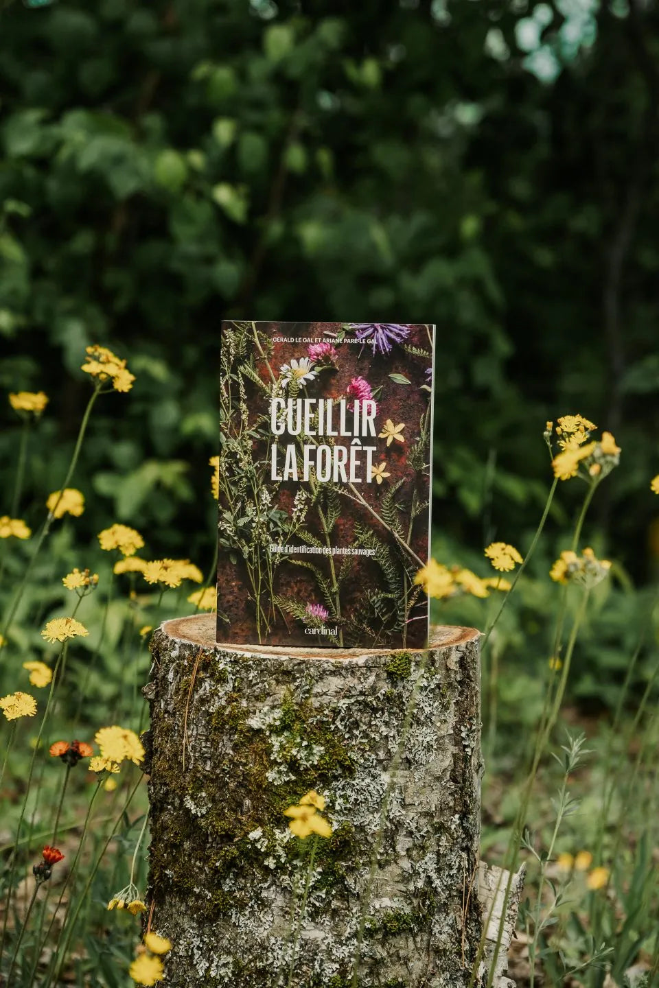 Cueillir la forêt